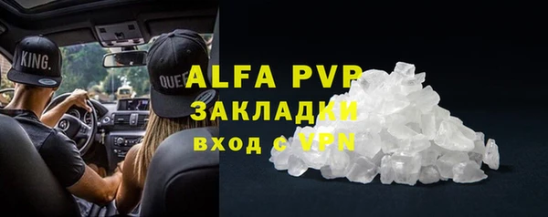 прущие грибы Володарск